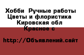 Хобби. Ручные работы Цветы и флористика. Кировская обл.,Красное с.